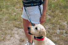 Load image into Gallery viewer, DAE Lead® Canine Positioning System (PRESALE)