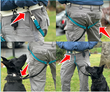 Load image into Gallery viewer, DAE Lead® Canine Positioning System (PRESALE)