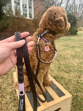 Load image into Gallery viewer, "Double Trouble" 2-Connection Grip Leash Narrow (Sm/Med Dog)