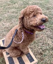 Load image into Gallery viewer, "Double Trouble" 2-Connection Grip Leash Narrow (Sm/Med Dog)