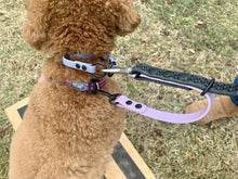 Load image into Gallery viewer, "Double Trouble" 2-Connection Grip Leash Narrow (Sm/Med Dog)