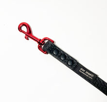 Load image into Gallery viewer, "Get a Grip" DAE Lead Leash WIDE (Large/XL Dogs)